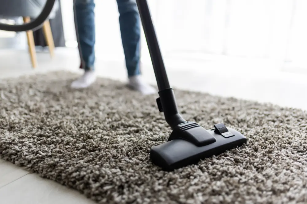 proffesional rug cleaning
